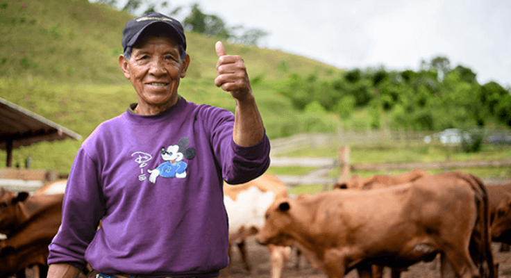Un ganadero trabajando
