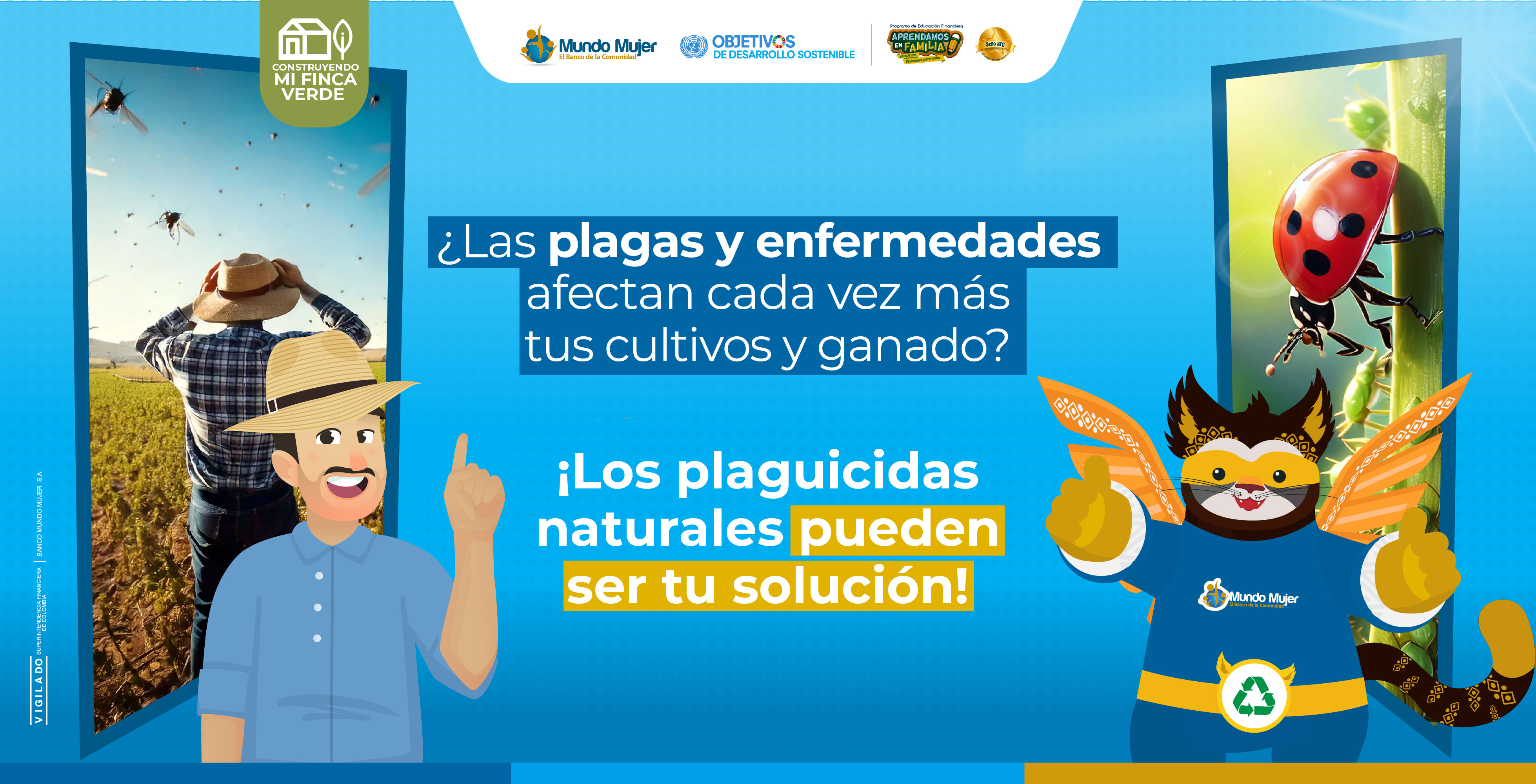 Plaguicidas orgnánicos